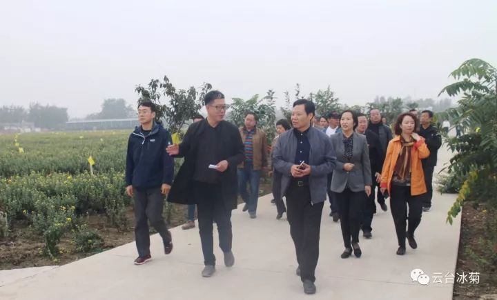 云臺冰菊基地發(fā)生了什么？一批批領導專家團隊前來！